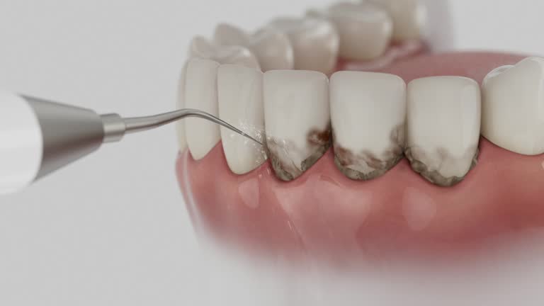 Reliable Dental contractor in Manchester, GA by Dentist Open Now